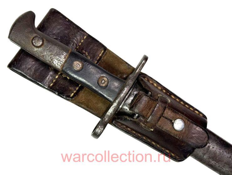 ���� � �������� ������-������ ���. 1889/31. ���������.